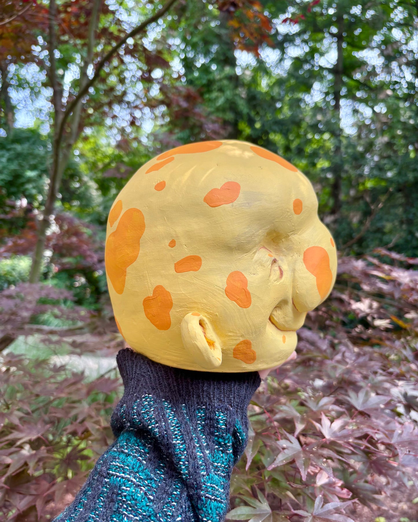 Cheese Head!