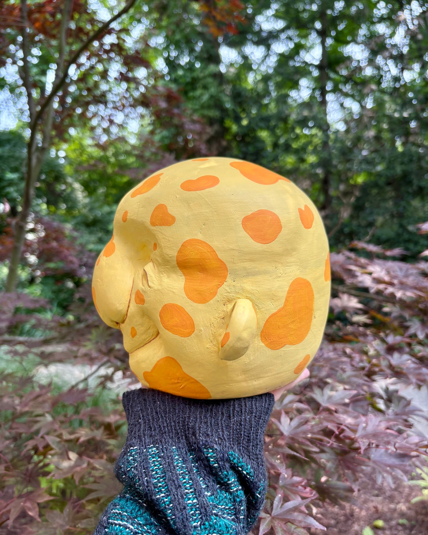 Cheese Head!