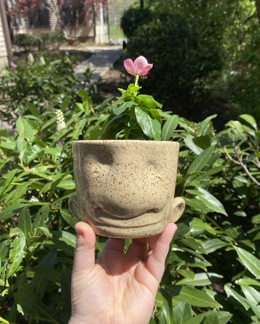 Hand-Sculpted Planter With a Face