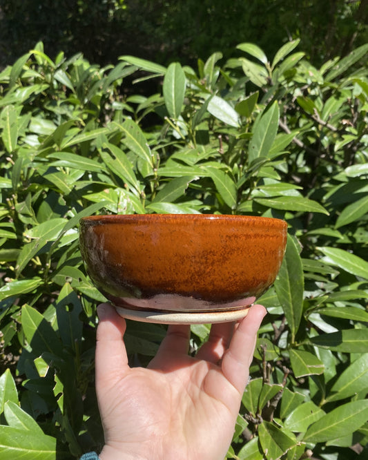 Amber-Colored Soup Bowl