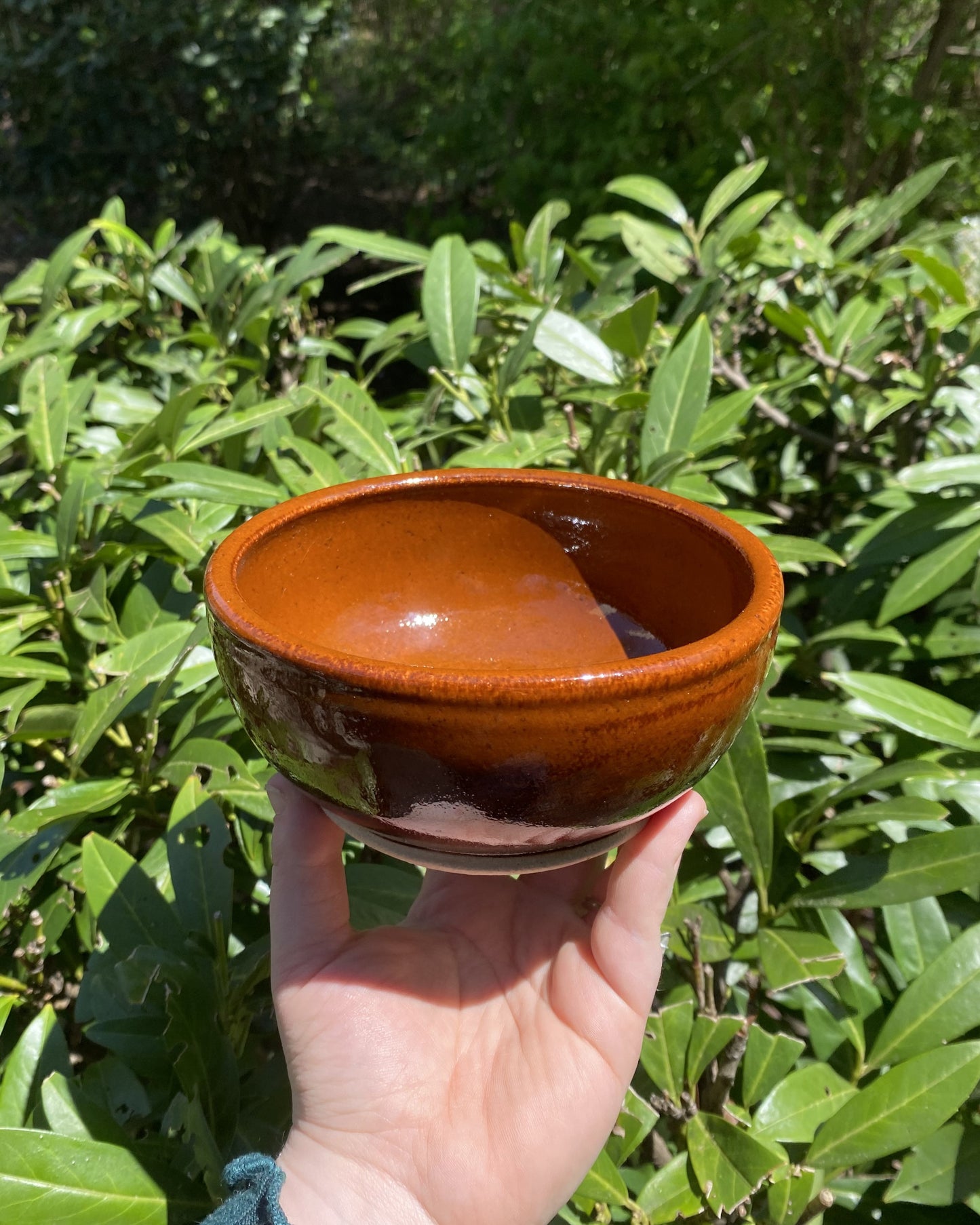 Amber-Colored Soup Bowl