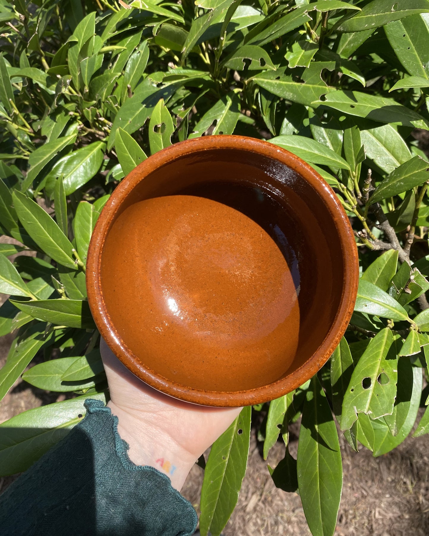 Amber-Colored Soup Bowl