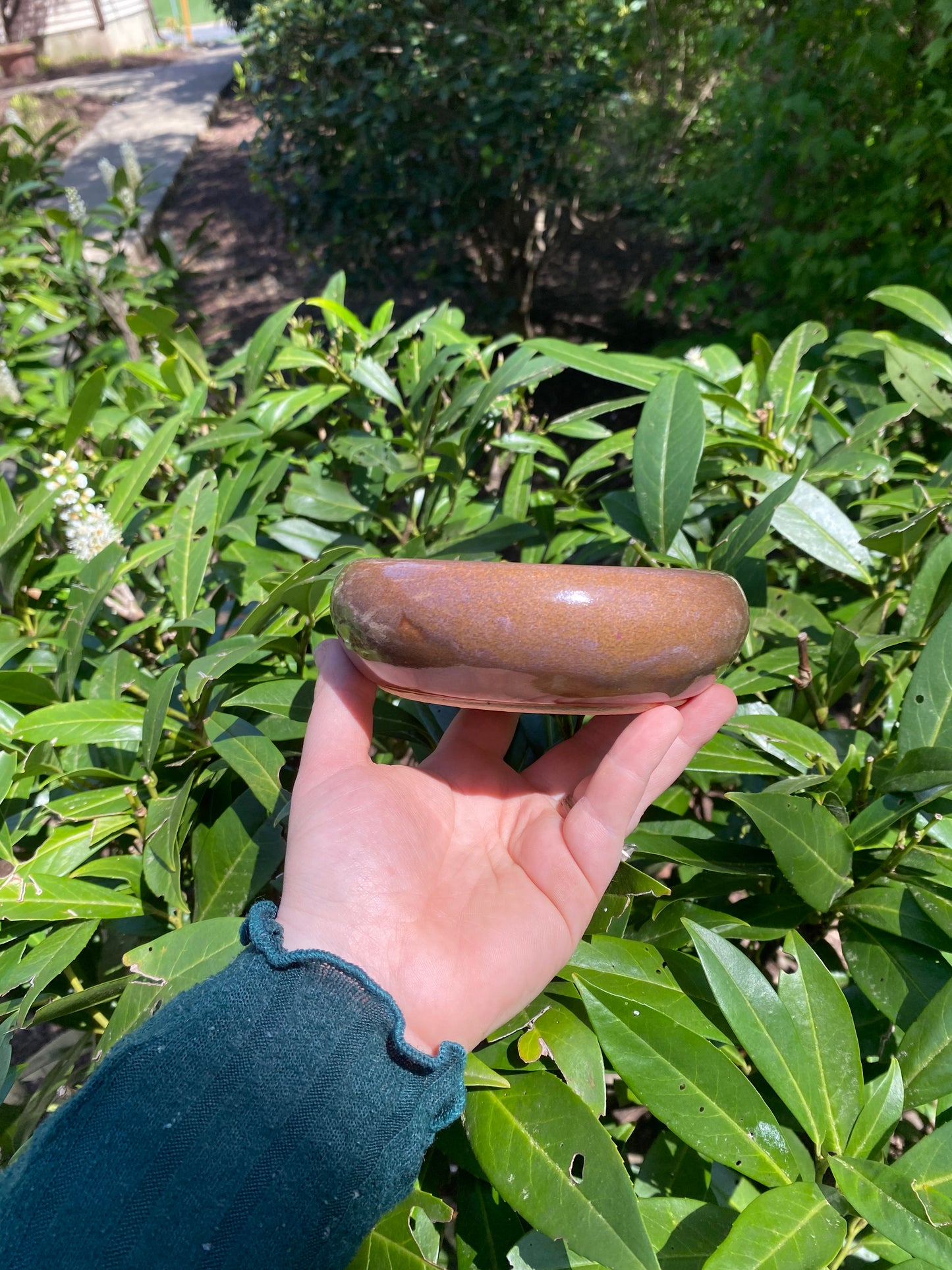 Brown Bubble Bowl