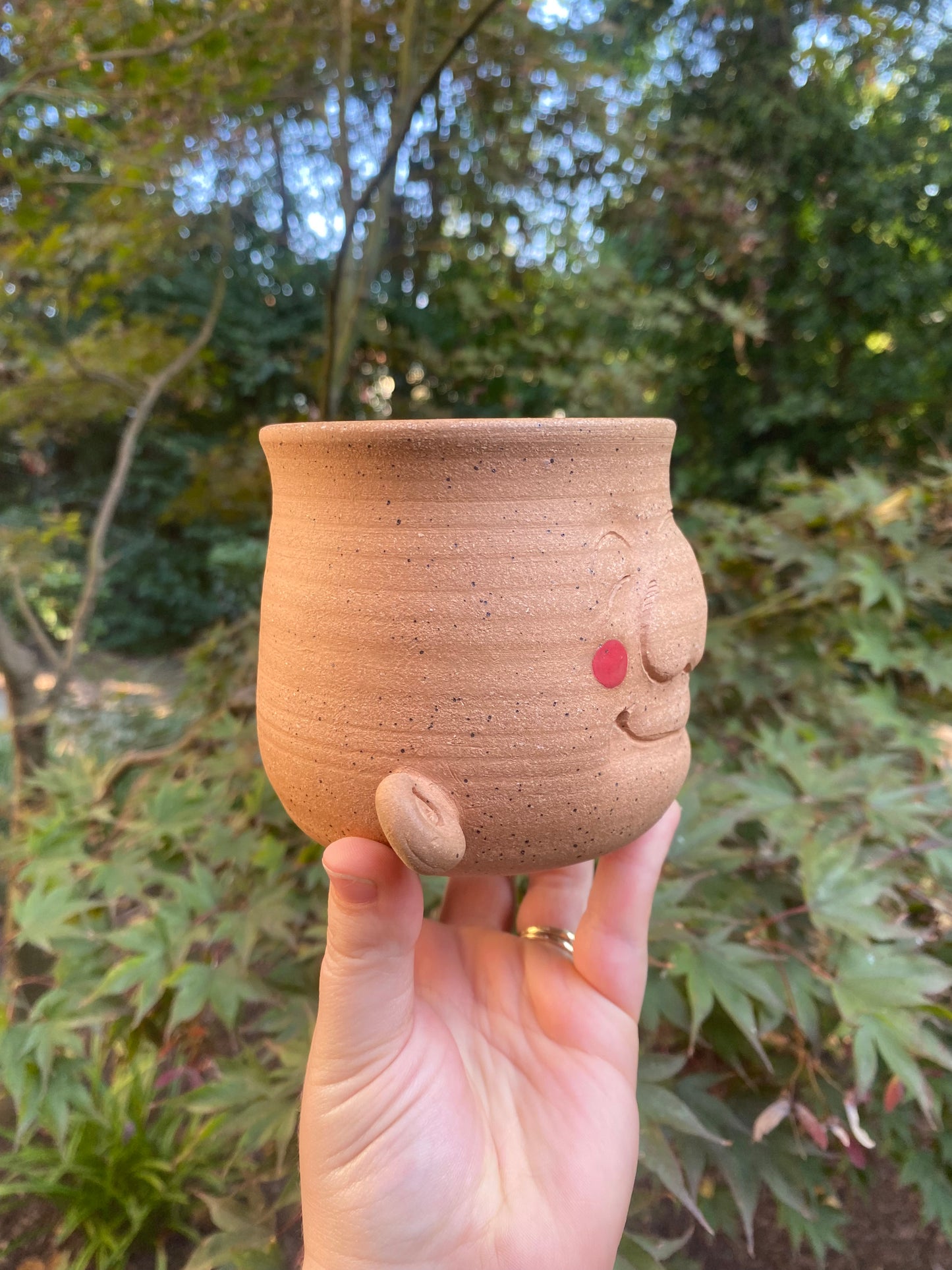 Tan Sculpted Planter with a Face